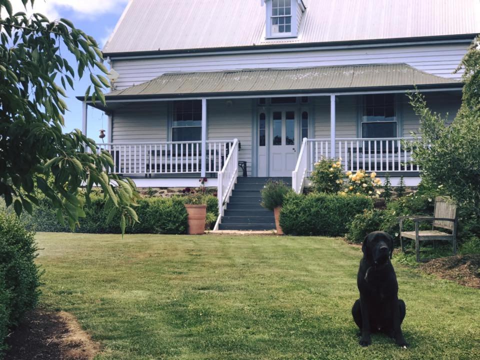 Robin Hoods Well Farm Stay Sassafras Exterior foto