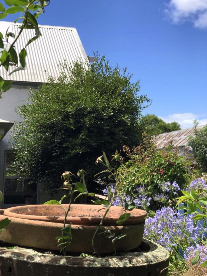 Robin Hoods Well Farm Stay Sassafras Exterior foto